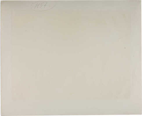 Шмохин Виктор Михайлович.  Лист из серии «Цирк». Две гарцующие лошади